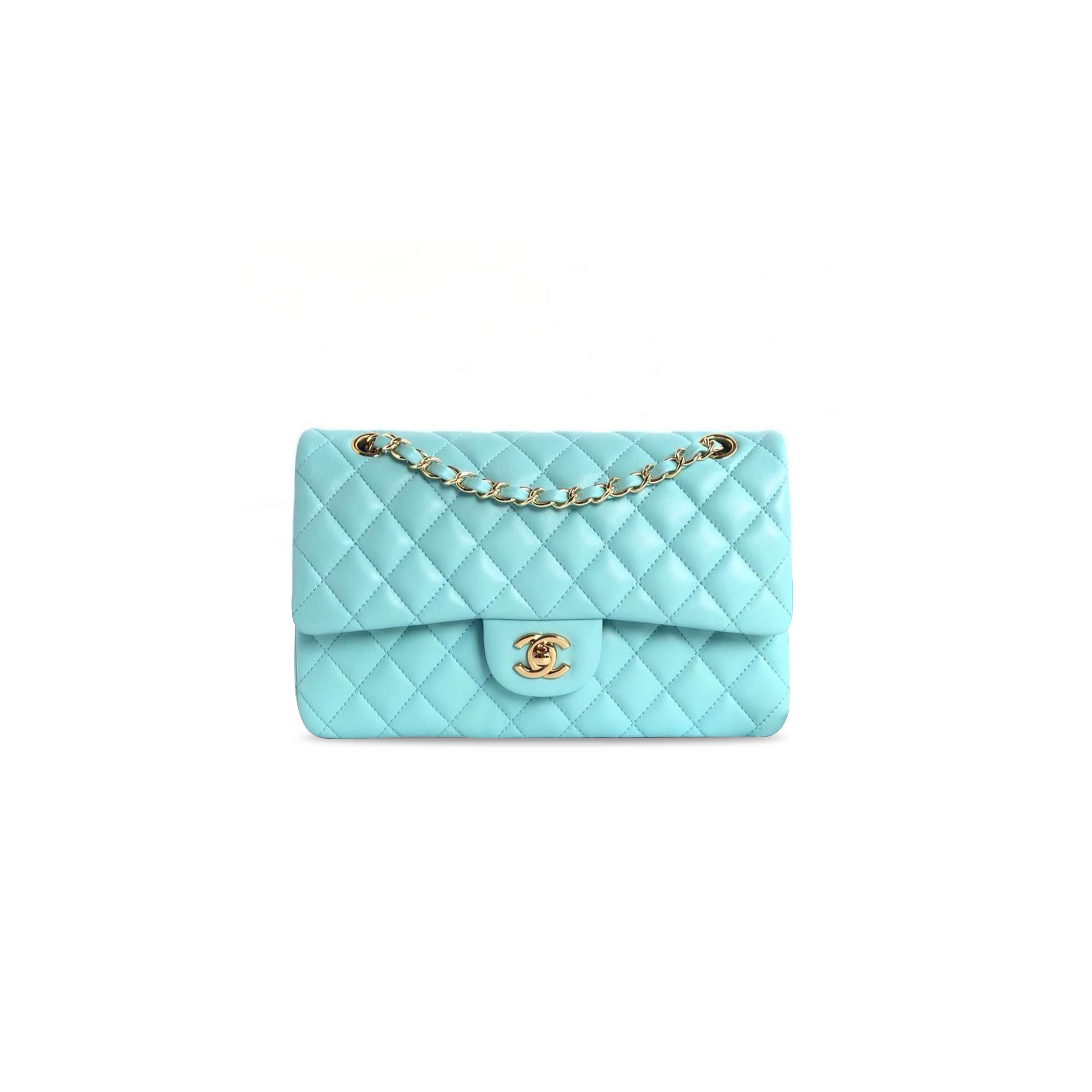 CHANEL MEDIUM DOUBLE FLAP 1135462 (25*15*6cm)